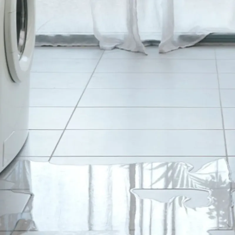 Appliance Leak Cleanup in Rollingwood, TX